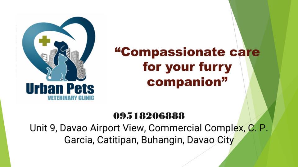 URBAN PETS Veterinary Clinic Davao City 2 BANNER Davao Portal