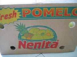 nenita farms pomelo - davao city