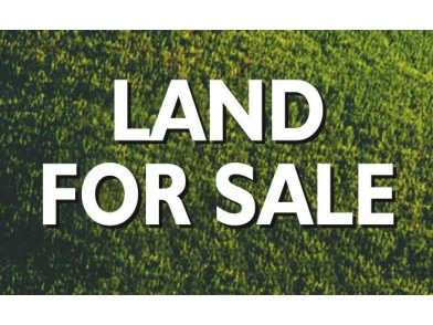 Rush Sale Land Property in Sta Cruz, Davao del Sur