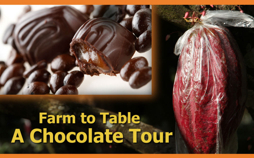 chocolate-tour