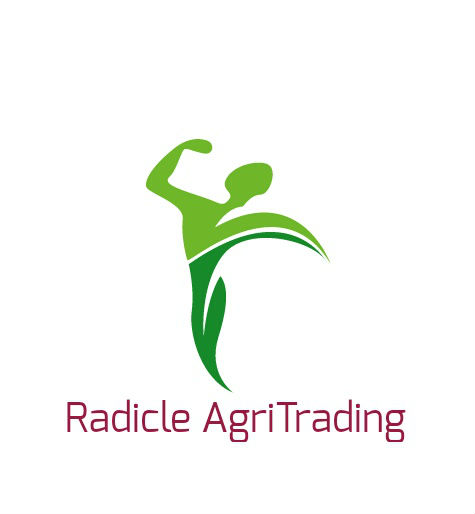 Radicle 4