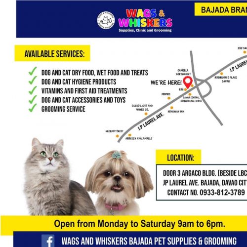 Wags and Whiskers Bajada Pet Supplies and Grooming Services 2